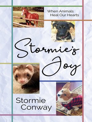 cover image of Stormie's Joy